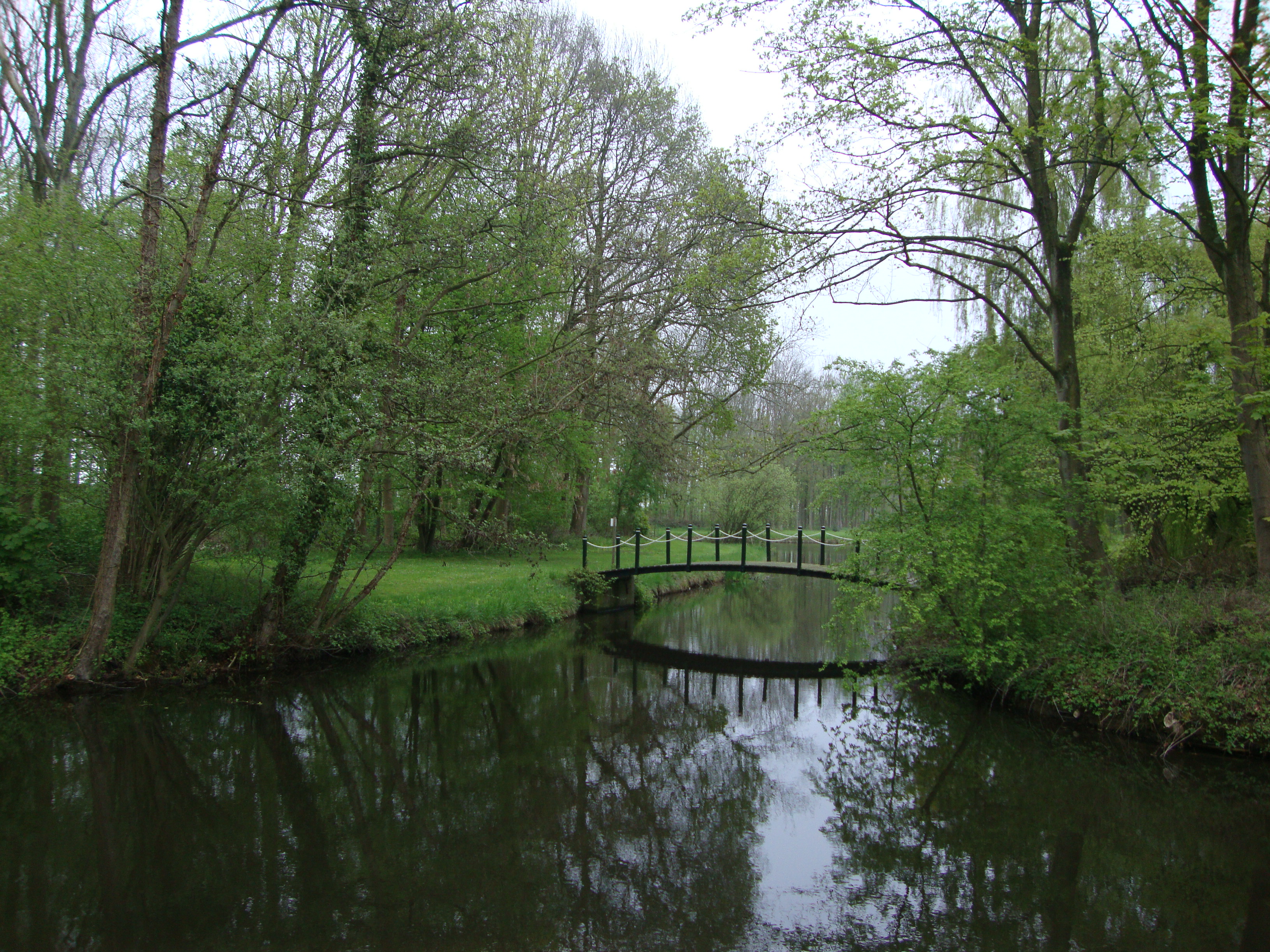 bos3.jpg