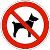 hond.jpg