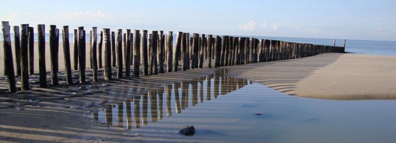 strand.jpg