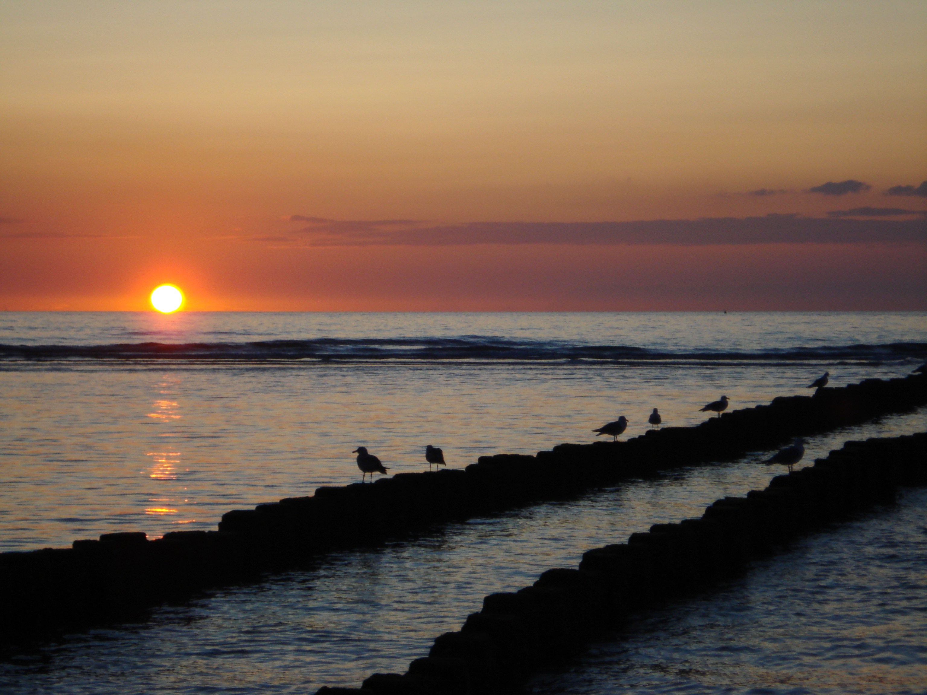 strand3.jpg